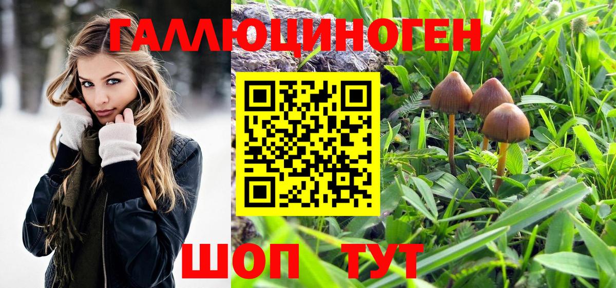 Владивосток  Галлюциногенные грибы ЛСД  Вход с VPN  Галлюциногенные грибы прущие грибы 