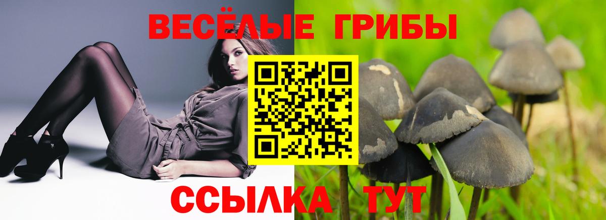 Галлюциногенные грибы Cubensis Владивосток